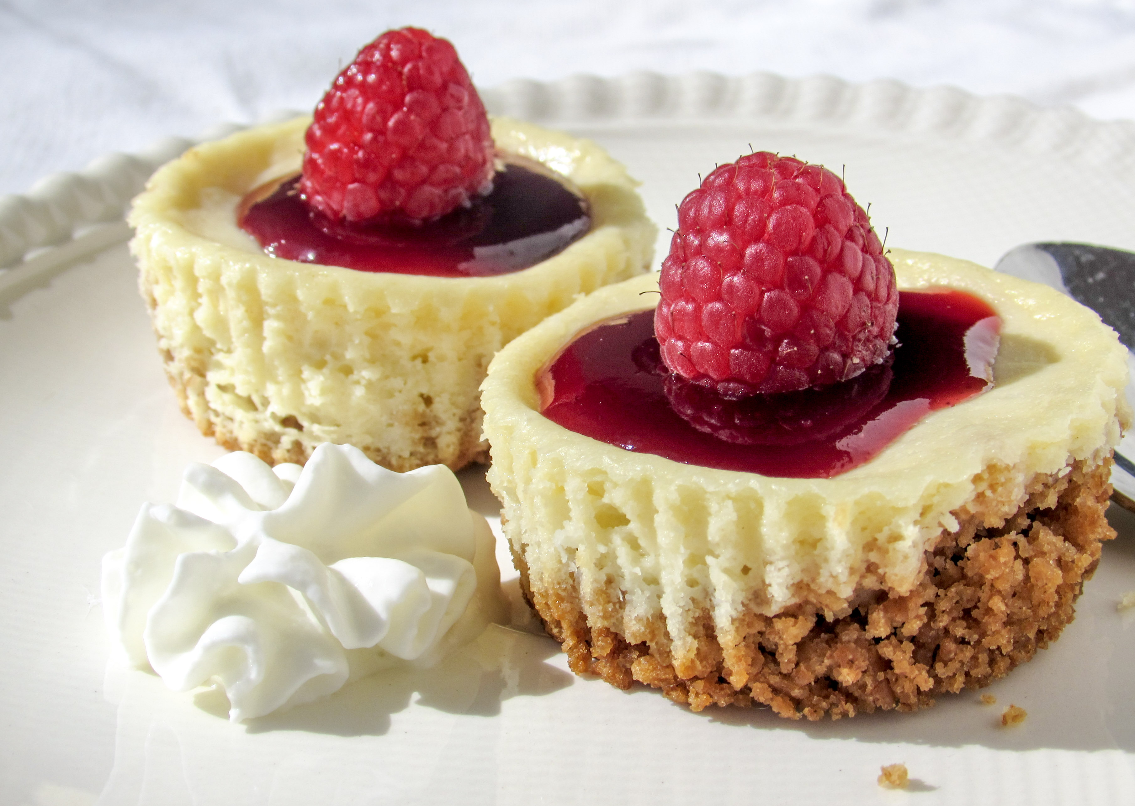 Mini Berry Cheesecakes - White Flower Lane Recipes